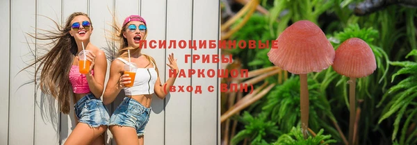 бошки Верхний Тагил